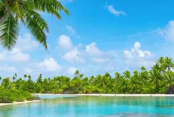 Tropical lagoon scenery with coconut palm trees and blue sky. Exotic summer destination. 