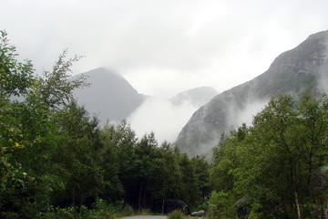 A panorama of wild vegetation of Norwegian nature on the background of rocks and glaciers.