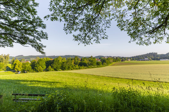 Blick auf Wolfegg
