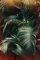 Naklejki  Ciemnozielony wzór liści palmowych z jasnopomarańczowym efektem rozbłysku słonecznego. Kreatywny układ, stonowany, pionowy