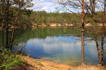 nice day on lake in forest