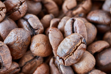Close up picture of freshly roasted coffee beans, shallow depth of field.