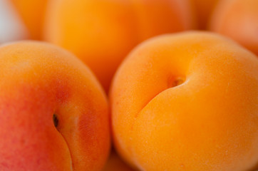  Ripe Organic Apricots close up. (shallow depth of field)