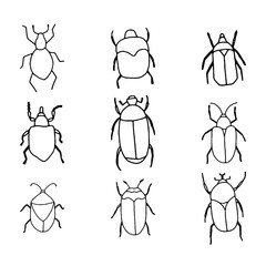 Cute hand drawn vector bugs outlines