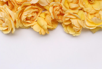 Flower frame of yellow rose flower on white background. Flat lay. Top view. Empty space for your text. Romance and love card concept.