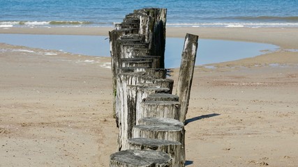 Wellenbrecher aus verwitterten Holzbstämmen an der Nordsee