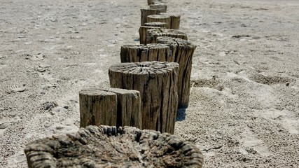Wellenbrecher aus verwitterten Holzbstämmen an der Nordsee