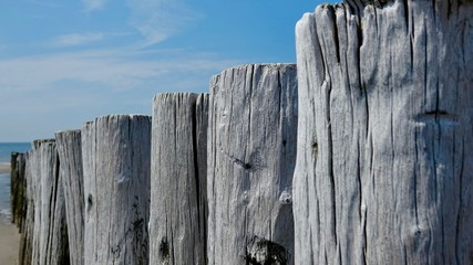 Wellenbrecher aus verwitterten Holzbstämmen an der Nordsee