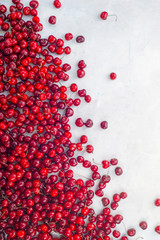 Sweet fresh cherries scattered on white marble backdrop. Healthy food background top view with copy space.