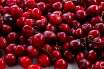 Cherries with water drops header. Macro berries shot with copy space