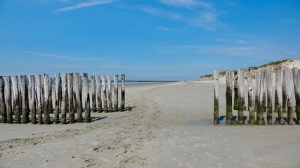 Wellenbrecher aus verwitterten Holzbstämmen an der Nordsee
