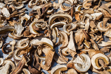Sliced fresh Boletus Edulis mushrooms on metal surface. Drying process under sunlight. 