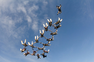Obraz premium Formation skydiving