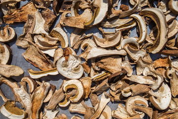 Sliced fresh Boletus Edulis mushrooms on metal surface. Drying process under sunlight. 