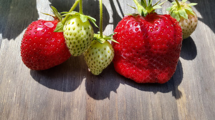 photo berries of strawberries