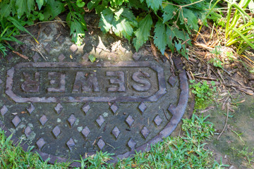 Close view of sewer manhole cover surrounded by mixed greenery, close view, horizontal aspect