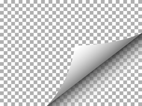 Paper with curly corner and shadow on transparency - Vector illustration