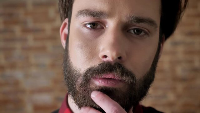 Young attractive serious man is touching his beard, watching at camera, brick background