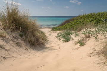 Summer Beach Italy