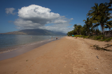 Beautiful tropical beach scene in Kauai, Hawaii