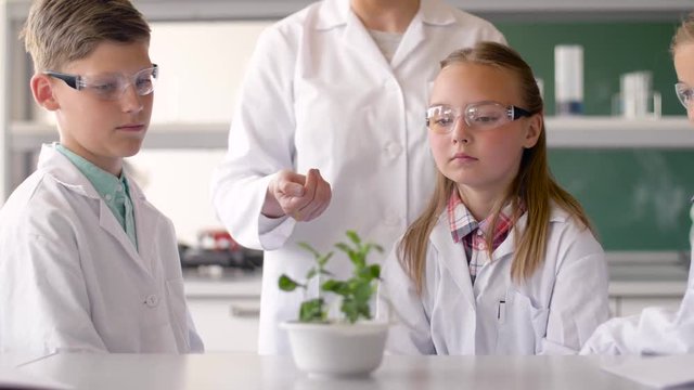 education, science and school concept - students and teacher with plant at biology class