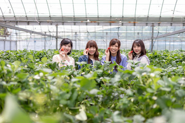 いちご狩りイメージ 女子旅 インスタ映え