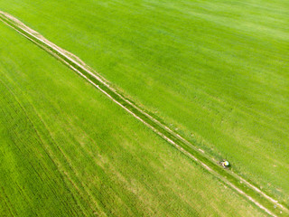 aerial view. bicyclist riding green field. trail road