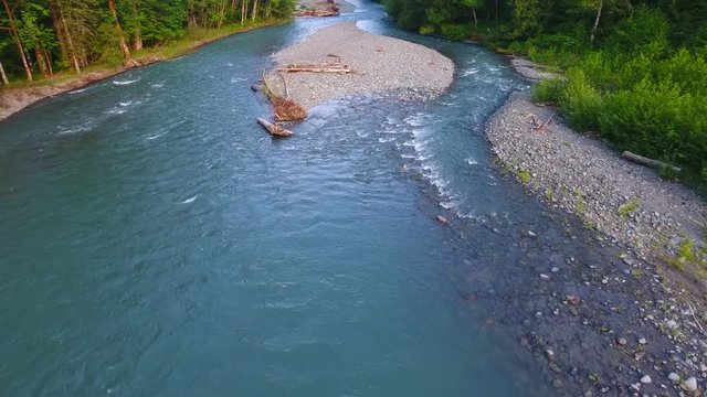 Water flowing downstream and around some dead fallen trees in a lush mountain scene.