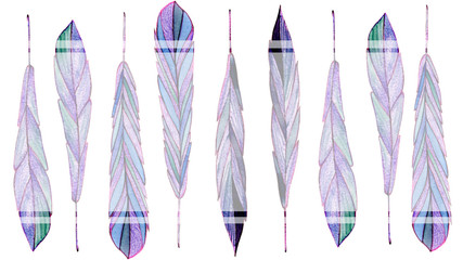  hand drawn watercolor feathers with ornaments on white background