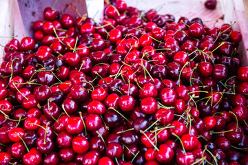 organic cherries at fruit market
