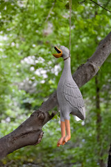 rubber duck hanging from tree branch in summer woods