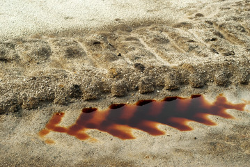 puddle of blood red color in the tracks of the car's protector next to tracks of caterpillars on...
