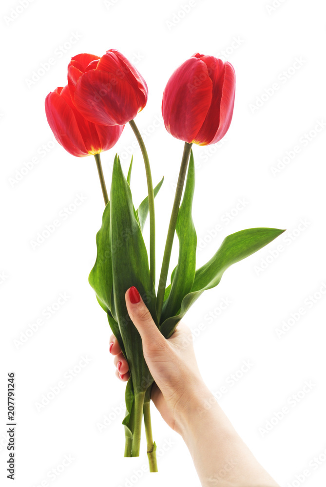 Sticker bouquet of tulips in a woman's hand.