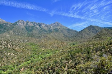 Fototapeta na wymiar Mt. Wrightson Madera Canyon Santa Rita Mountains Hiking Tucson Arizona