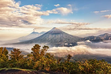 Gordijnen Volcanoes Fuego (active), Acatenango and Agua, View from Pacaya, Guatemala © Ingo Bartussek