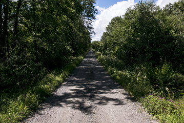 Fototapeta na wymiar Empty countryside road