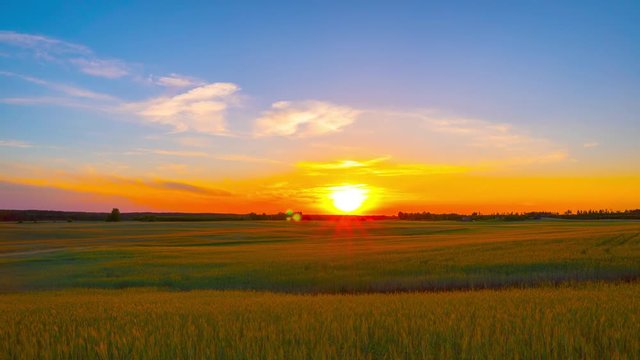 Sunset over the wheat field, time-lapse