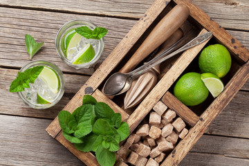 Mojito cocktail ingredients box