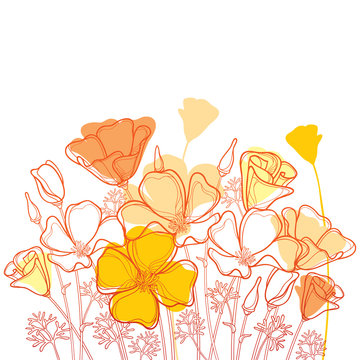 Vector bouquet with outline orange California poppy flower or California sunlight or Eschscholzia, leaf and bud isolated on white background. Ornate contour poppies for enjoy summer design.