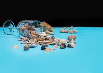 Seashells in a crystal glass on a blue background