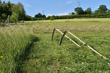 tradition scythe on mowing the green meadow 