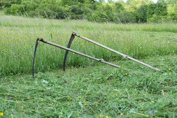 tradition scythe on mowing the green meadow 