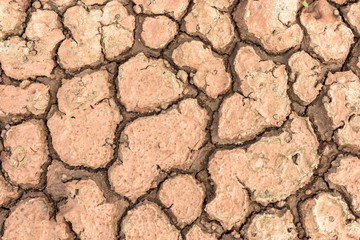 Land with dry and cracked ground.