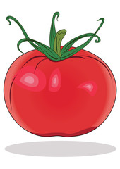 Tomato icon Vector illustration