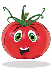Obraz premium Tomato icon Vector illustration