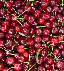 Closeup sweet red cherries