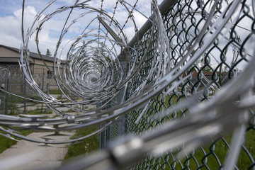 Razor wire on metal mesh fence