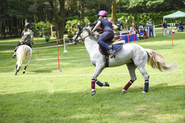 mounted games