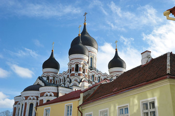 Fototapeta na wymiar orthodox cathedral of Alexander Nevsky