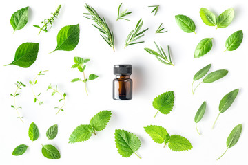 Bottle of essential oil with fresh herbs and spices basil, sage, rosemary, oregano, thyme, lemon balm  and peppermint setup with flat lay on white background